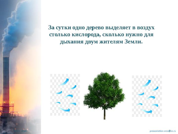 06.11.2020 7За сутки одно дерево выделяет в воздух столько кислорода, сколько нужно для дыхания двум жителям Земли.