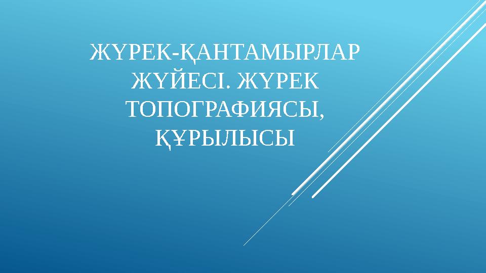 ЖҮРЕК-ҚАНТАМЫРЛАР ЖҮЙЕСІ. ЖҮРЕК ТОПОГРАФИЯСЫ, ҚҰРЫЛЫСЫ