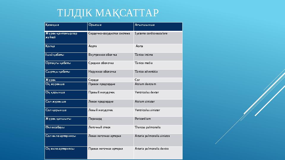 ТІЛДІК МАҚСАТТАР Қазақша Орысша Ағылшынша Жүрек-қантамырлар жүйесі Сердечно-сосудистая система Systema cardiovasculare Қолқа Ао