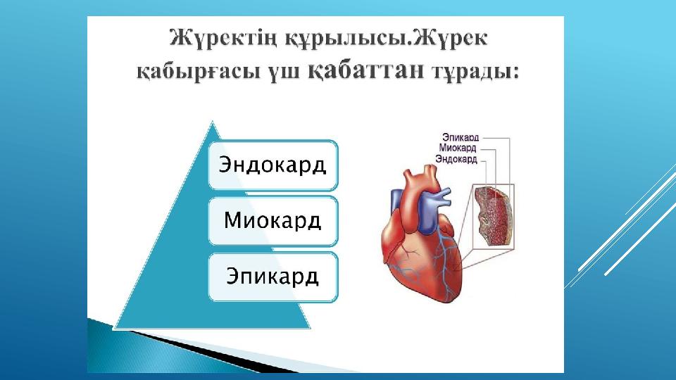 Порно Кассия минет жасайды