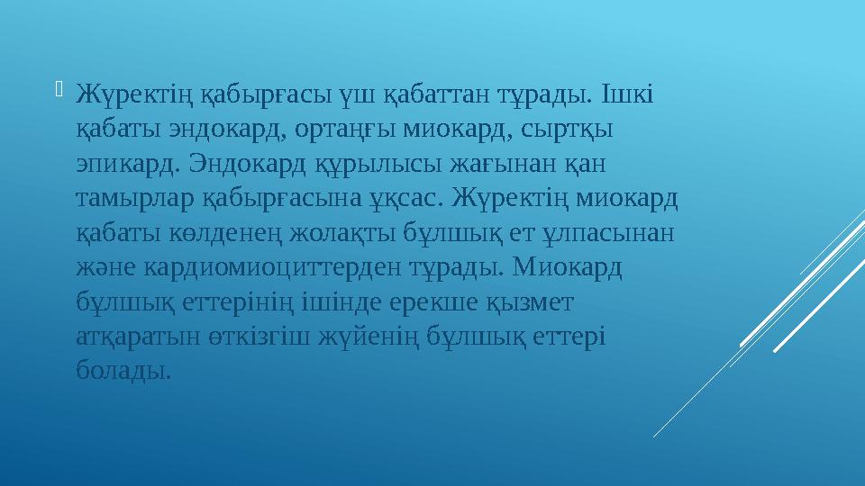  Жүректің қабырғасы үш қабаттан тұрады. Ішкі қабаты эндокард, ортаңғы миокард, сыртқы эпикард. Эндокард құрылысы жағынан қан