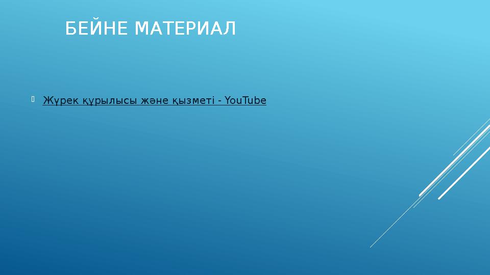 БЕЙНЕ МАТЕРИАЛ  Жүрек құрылысы және қызметі - YouTube