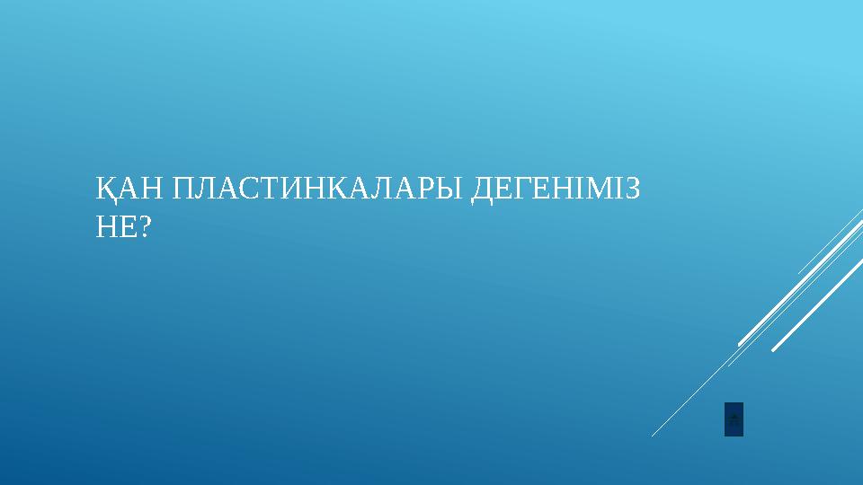 ҚАН ПЛАСТИНКАЛАРЫ ДЕГЕНІМІЗ НЕ?