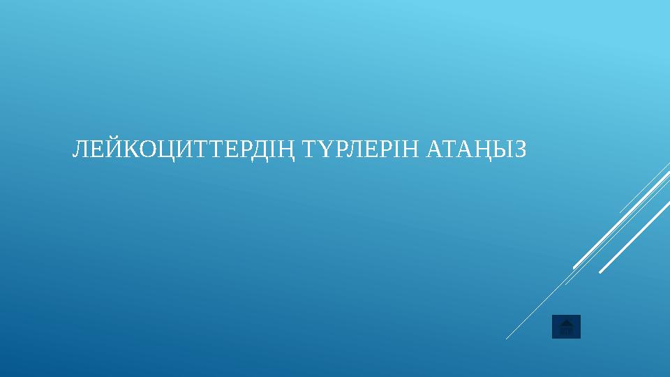 ЛЕЙКОЦИТТЕРДІҢ ТҮРЛЕРІН АТАҢЫЗ