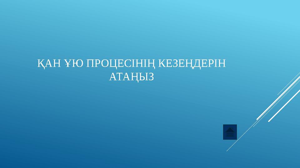 ҚАН ҰЮ ПРОЦЕСІНІҢ КЕЗЕҢДЕРІН АТАҢЫЗ