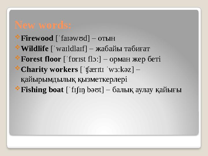 New words:  Firewood [ˈfaɪəwʊd] – отын  Wildlife [ˈwaɪldlaɪf] – жабайы табиғат  Forest floor [ˈfɒrɪst flɔː] – орман жер