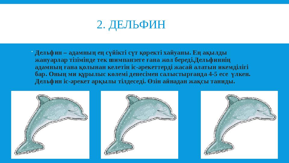 2. ДЕЛЬФИН  Дельфин – адамның ең сүйікті сүт қоректі хайуаны. Ең ақылды жануарлар тізімінде тек шимпанз