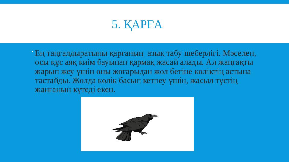 5. ҚАРҒА  Ең таңғалдыратыны қарғаның азық табу шеберлігі. Мәселен, осы құс аяқ киім бауынан қарма