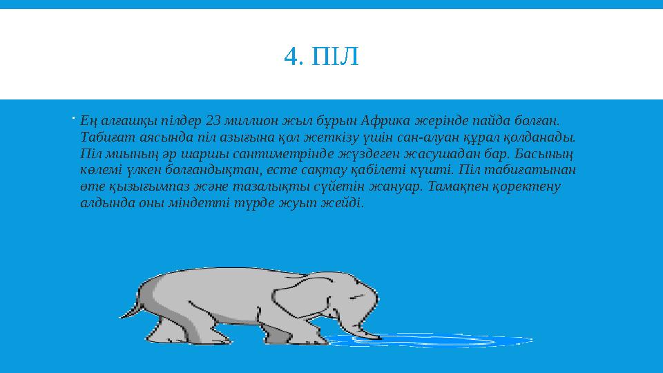 4. ПІЛ  Ең алғашқы пілдер 23 миллион жыл бұрын Африка жерінде пайда болған. Табиғат аясында пі