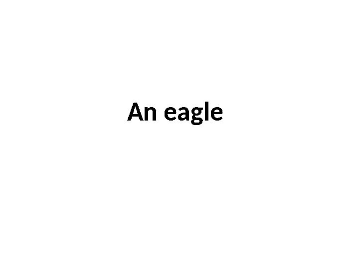 An eagle