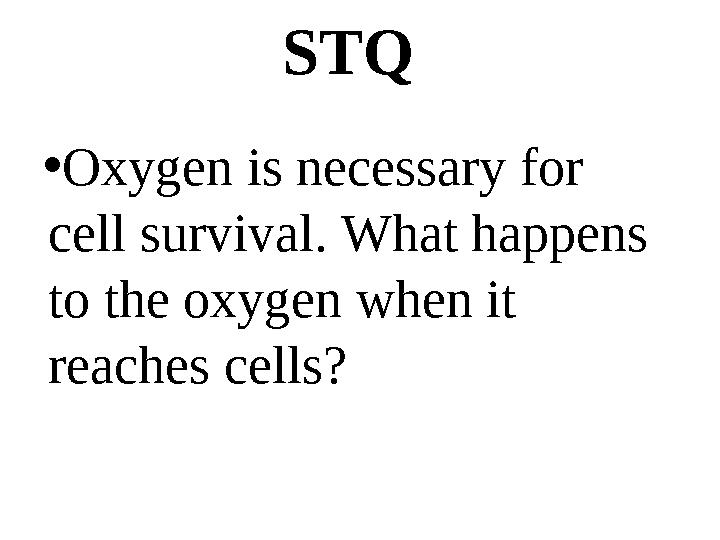 STQ • Oxygen is necessary for cell survival. What happens to the oxygen when it reaches cells?