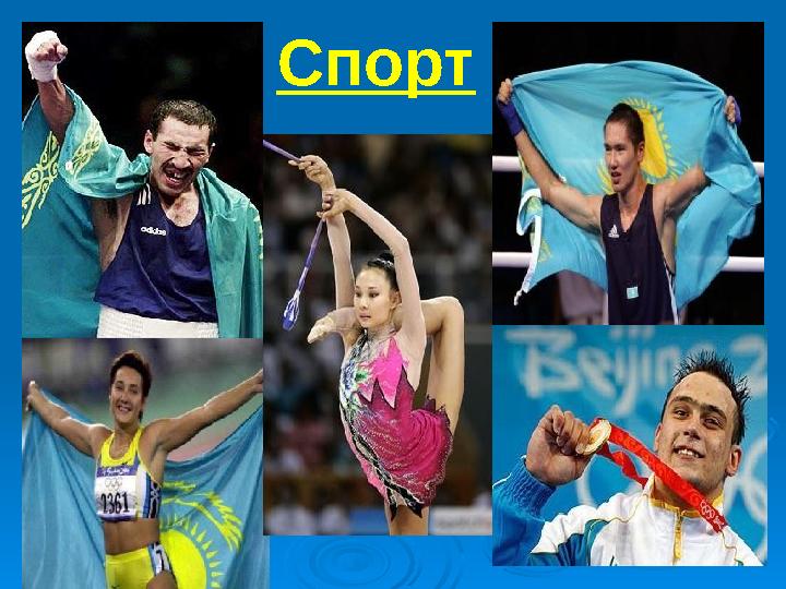 Спорт