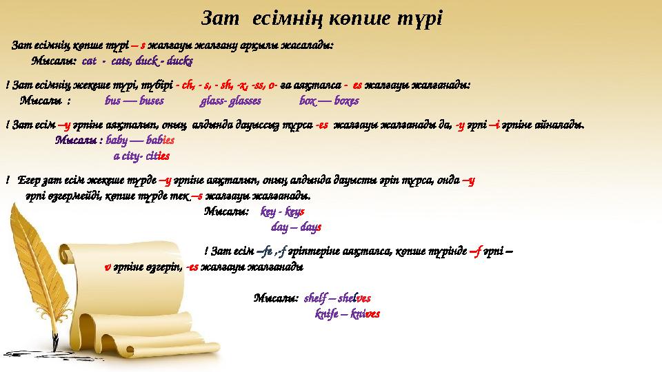 Зат есімнің көпше түрі – s жалғауы жалғану арқылы жасалады: Мысалы: cat - cats, duck - ducks ! Зат