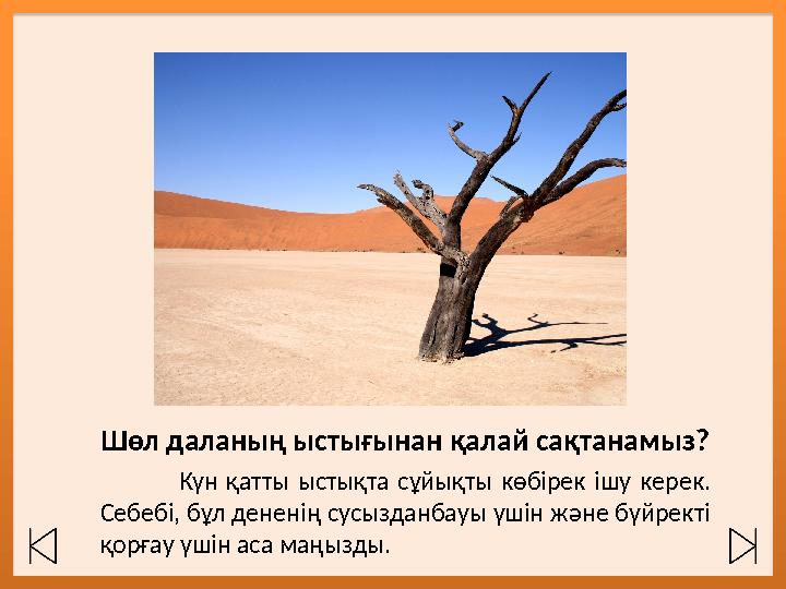 Шөл даланың ыстығынан қалай сақтанамыз? Күн қатты ыстықта сұйықты көбірек ішу керек. Себебі, бұл дененің сусызданбауы үш