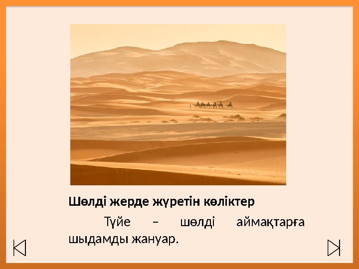 Шөлді жерде жүретін көліктер Түйе – шөлді аймақтарға шыдамды жануар.
