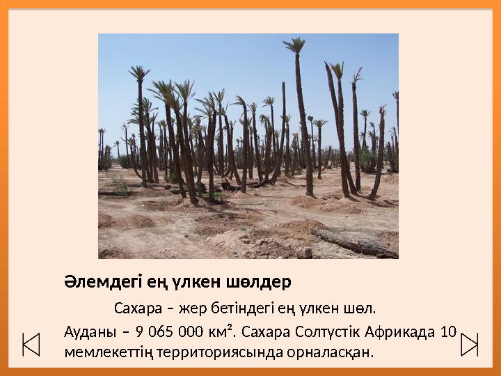 Әлемдегі ең үлкен шөлдер Сахара – жер бетіндегі ең үлкен шөл. Ауданы – 9 065 000 к м². Сахара Солтүстік Африкада 10 м