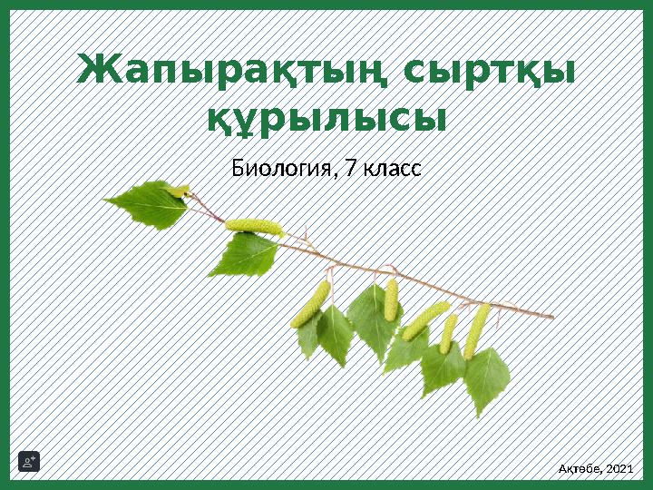 Үйдегі жалаңаш қаншық