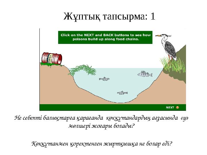 Не себепті балықтарға қарағанда көкқұтандардың ағзасында «у» мөлшері жоғары болады ? Көкқұтанмен қоректенген жыртқышқа не бол