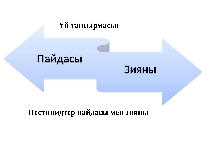 Пестицидтер пайдасы мен зияны Пайдасы Зияны Үй тапсырмасы: