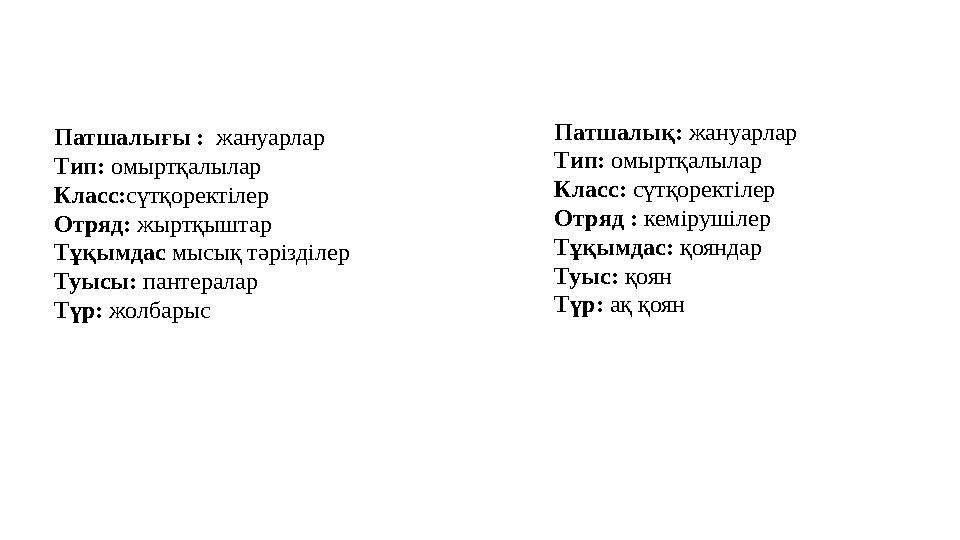 Патшалығы : жануарлар Тип: омыртқалылар Класс: сүтқоректілер Отряд: жыртқыштар Тұқымдас мысық тәрізділер Туысы: пантерала