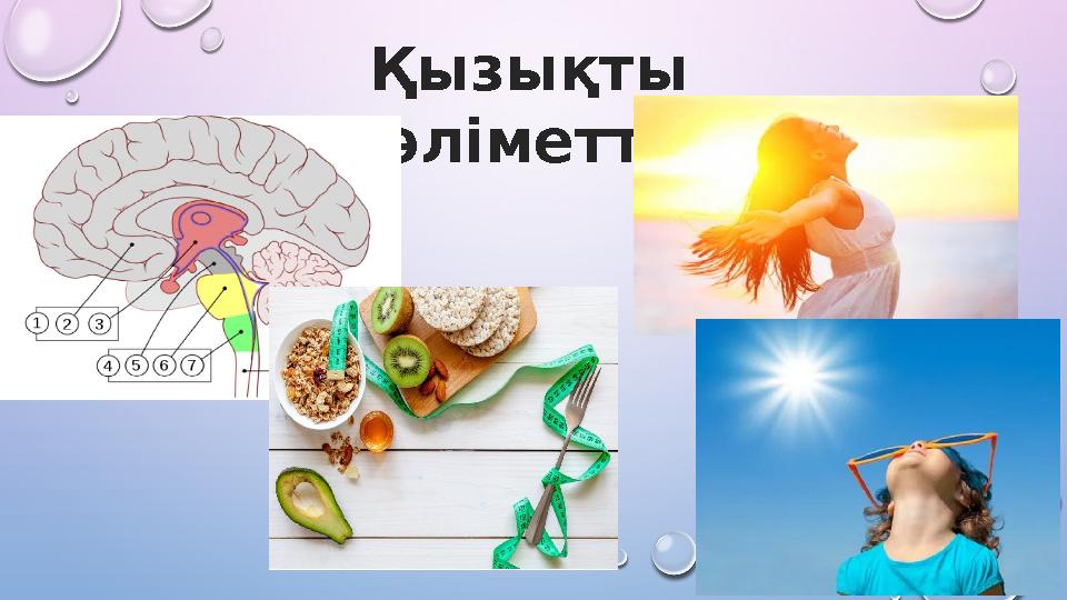 Қызықты мәліметтер