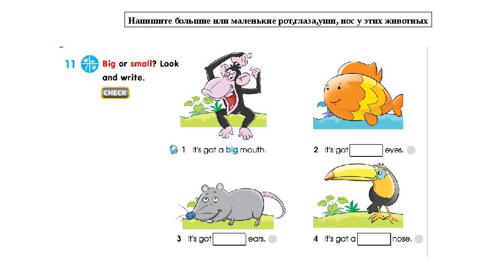 Напишите большие или маленькие рот,глаза,уши, нос у этих животных