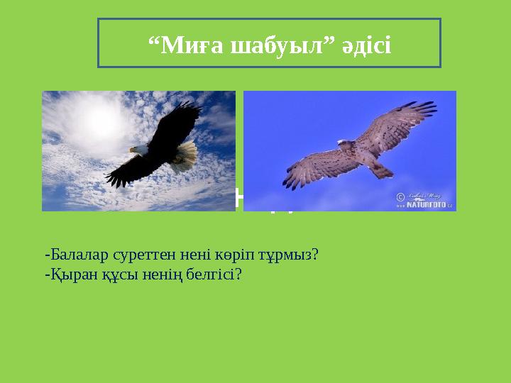 “ Миға шабуыл” әдісі Текст надписи -Балалар суреттен нені көріп тұрмыз? -Қыран құсы ненің белгісі?
