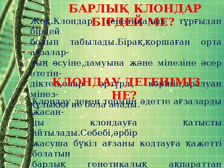 БАРЛЫҚ КЛОНДАР БІРДЕЙ МЕ?Жоқ.Клондар генетикалық тұрғыдан бірдей болып табылады.Бірақ,қоршаған орта ағзалар- дың өсуі