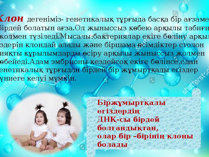 Клон дегеніміз- генетикалық тұрғыда басқа бір ағзамен бірдей болатын ағза.Ол жыныссыз көбею арқылы табиғи жолмен түзіледі.