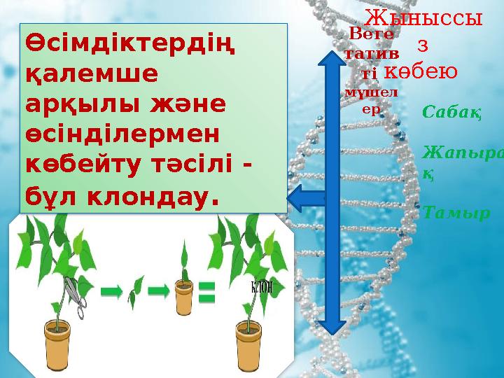 Өсімдіктердің қалемше арқылы және өсінділермен көбейту тәсілі - бұл клондау . Жыныссы з көбею Веге татив ті мүшел ер С