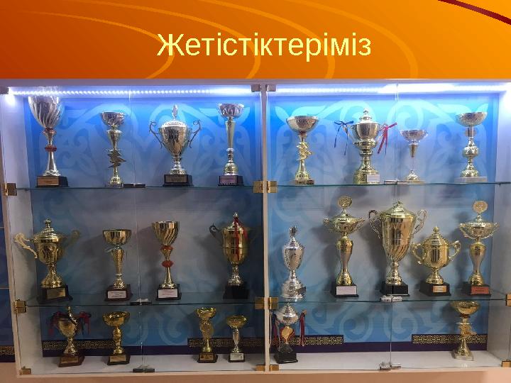 Жетістіктеріміз