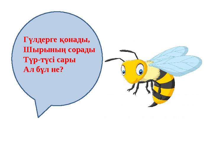 Гүлдерге қонады, Шырының сорады Түр-түсі сары Ал бұл не?
