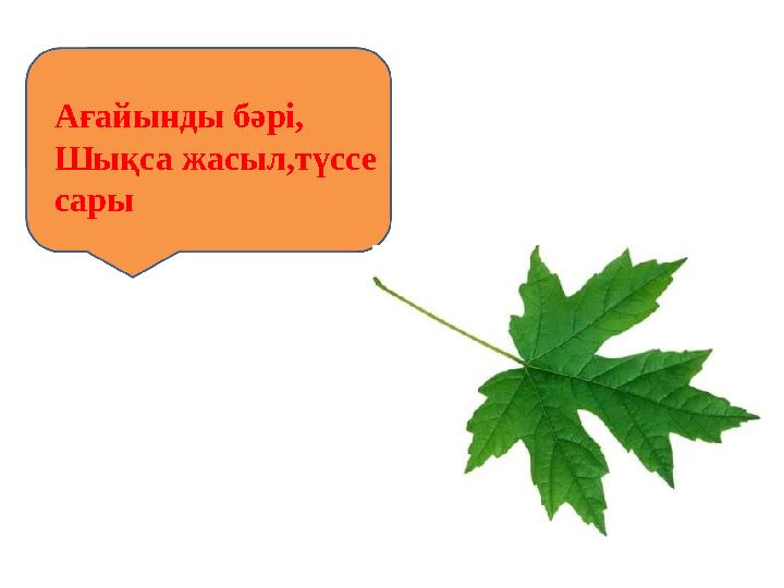 Ағайынды бәрі, Шықса жасыл,түссе сары