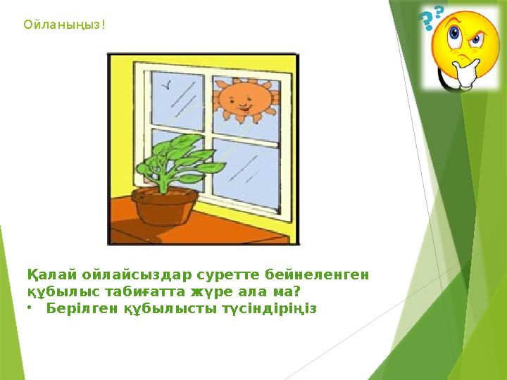 Әйелдерге арналған порно видео