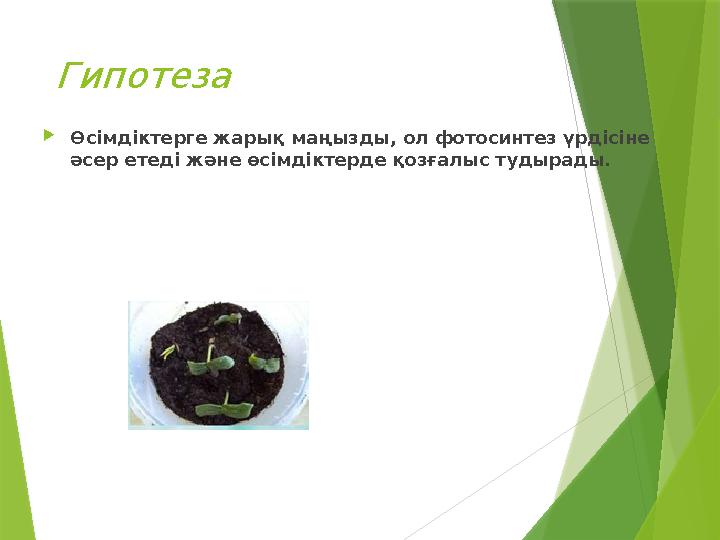 Гипотеза Өсімдіктерге жарық маңызды, ол фотосинтез үрдісіне әсер етеді және өсімдіктерде қозғалыс тудырады.