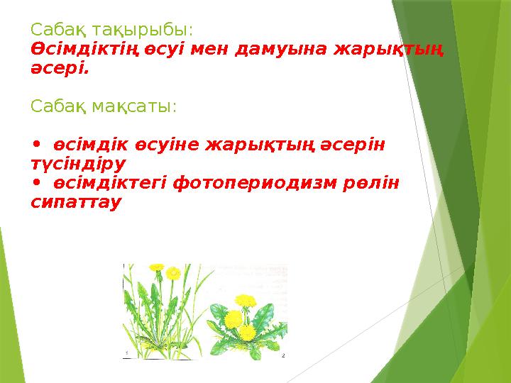 Үнділердің порно фильмін қараңыз