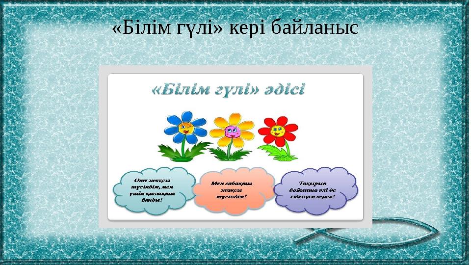 «Білім гүлі» кері байланыс