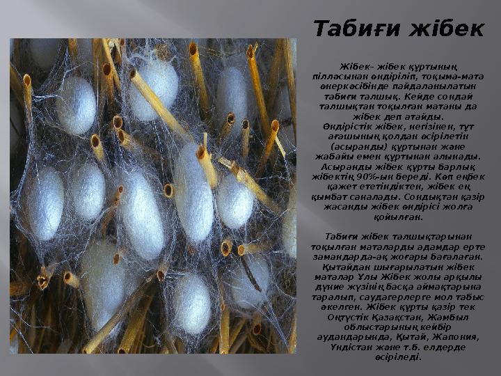 Табиғи жібек Жібек– жібек құртының пілләсынан өндіріліп, тоқыма-мата өнеркәсібінде пайдаланылатын табиғи талшық. Кейде сондай