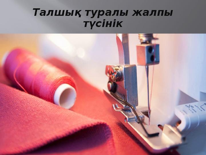 Талшық туралы жалпы түсінік