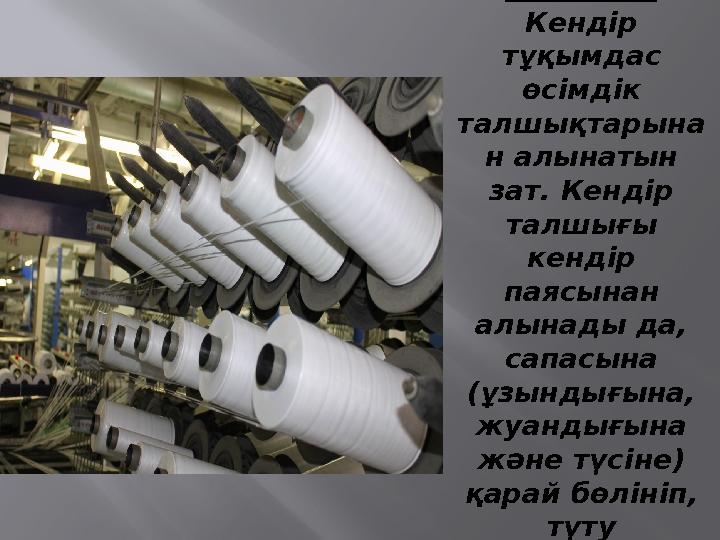 Кендір талшығы Кендір тұқымдас өсімдік талшықтарына н алынатын зат. Кендір талшығы кендір паясынан алынады да, сапасын