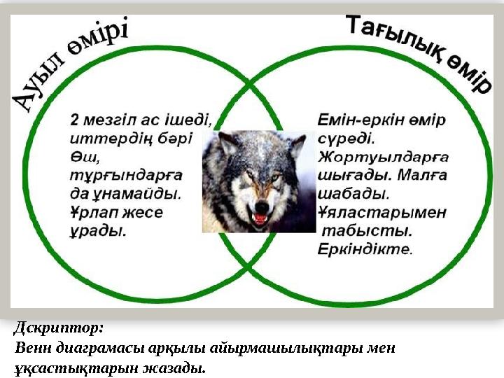 Дскриптор: Венн диаграмасы арқылы айырмашылықтары мен ұқсастықтарын жазады.