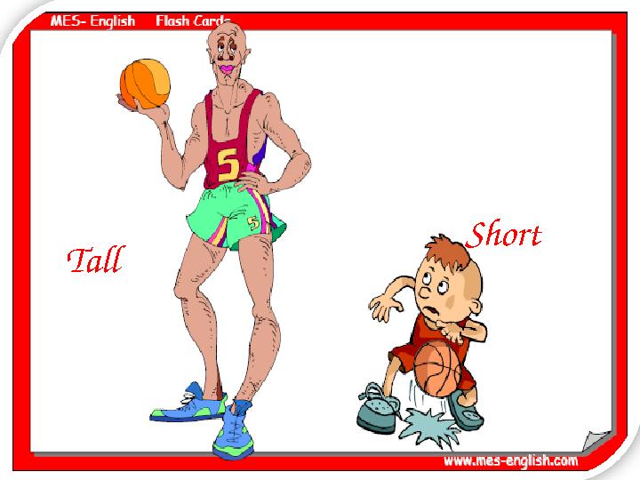 Tall Short