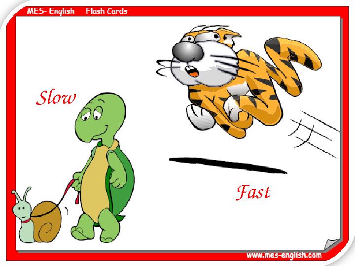 Slow Fast