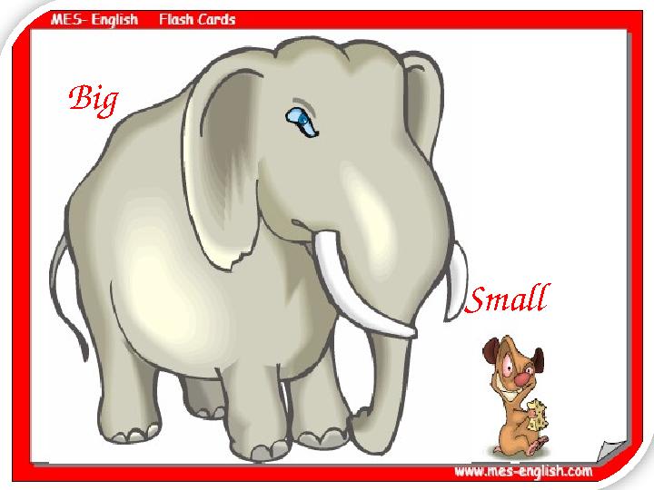 Big Small