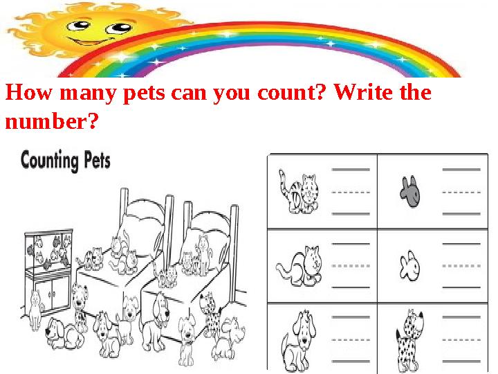 How many pets can you count? Write the number?