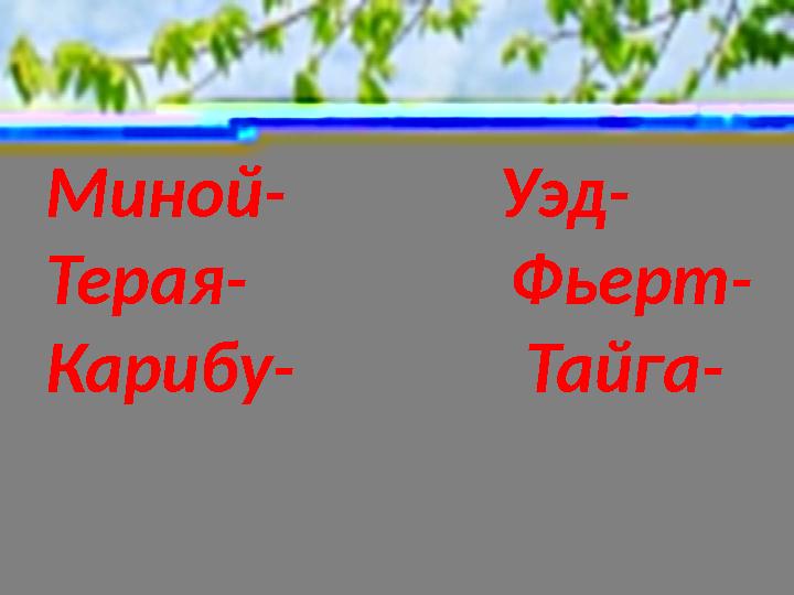 Миной- Уэд- Терая- Фьерт- Карибу- Тайга-