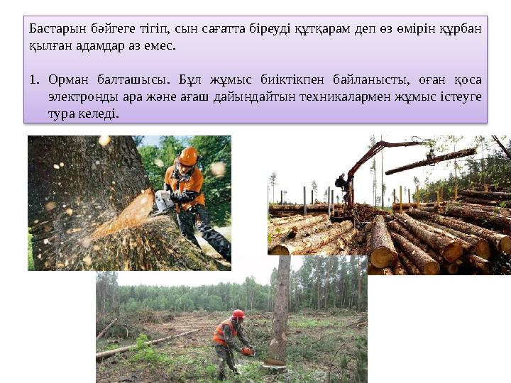 Бастарын бәйгеге тігіп, сын сағатта біреуді құтқарам деп өз өмірін құрбан қылған адамдар аз емес. 1. Орман балташысы. Бұл ж