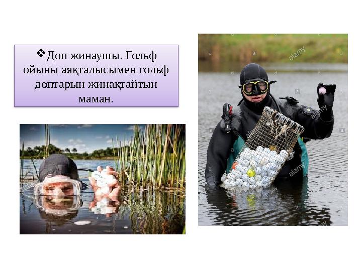  Доп жинаушы. Гольф ойыны аяқталысымен гольф доптарын жинақтайтын маман.