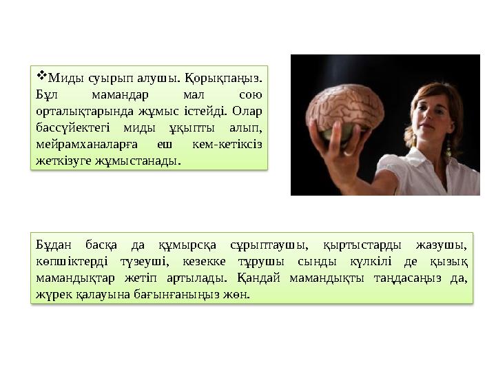 Бұдан басқа да құмырсқа сұрыптаушы, қыртыстарды жазушы, көпшіктерді түзеуші, кезекке тұрушы сынды күлкілі де қызық