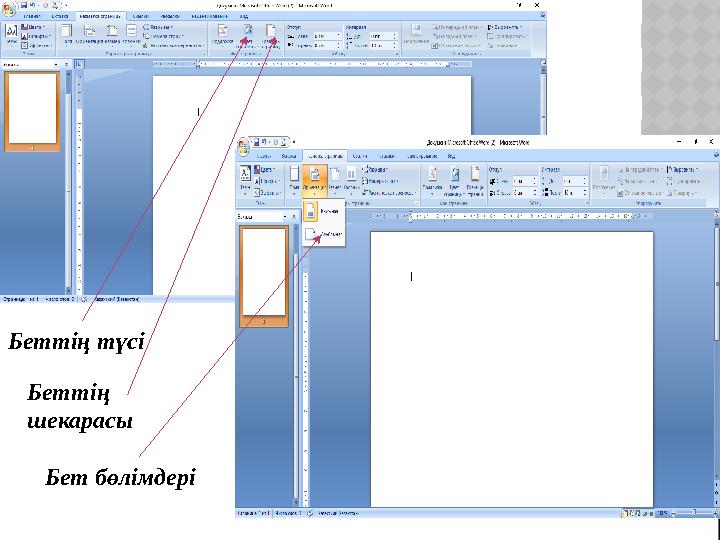 Беттің түсі Бет бөлімдеріБеттің шекарасы